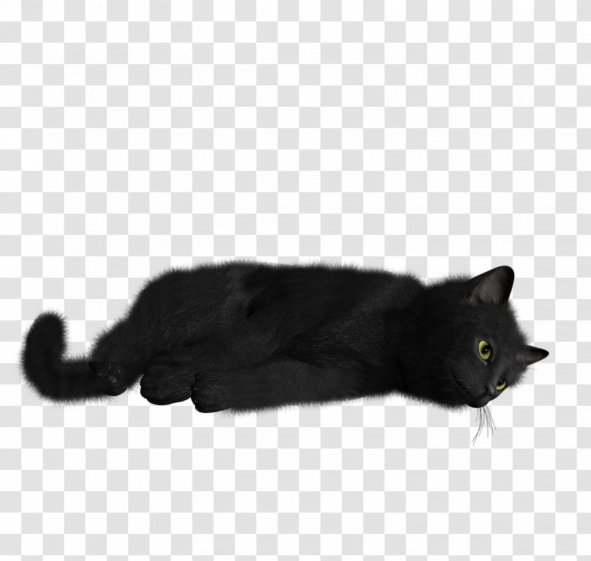 Black Cat Kitten Desktop Wallpaper - Image File Formats - Cats Transparent PNG