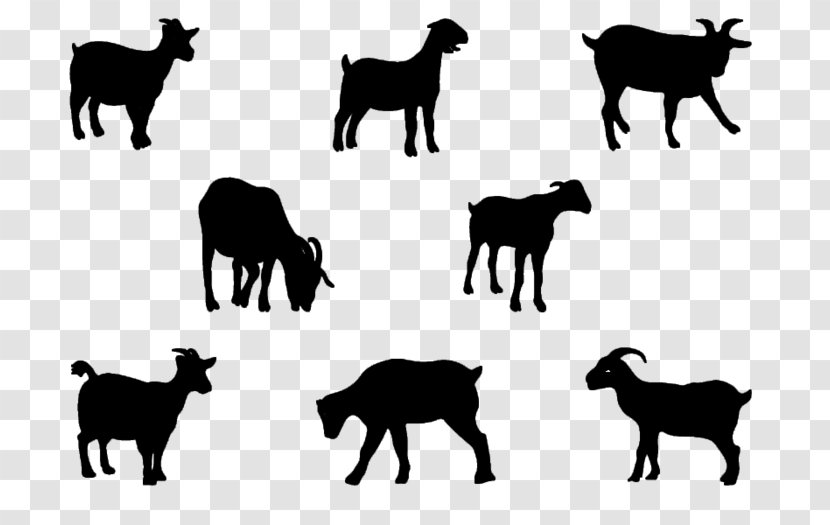 Boer Goat Pygmy Nigerian Dwarf Anglo-Nubian - Silhouette Transparent PNG