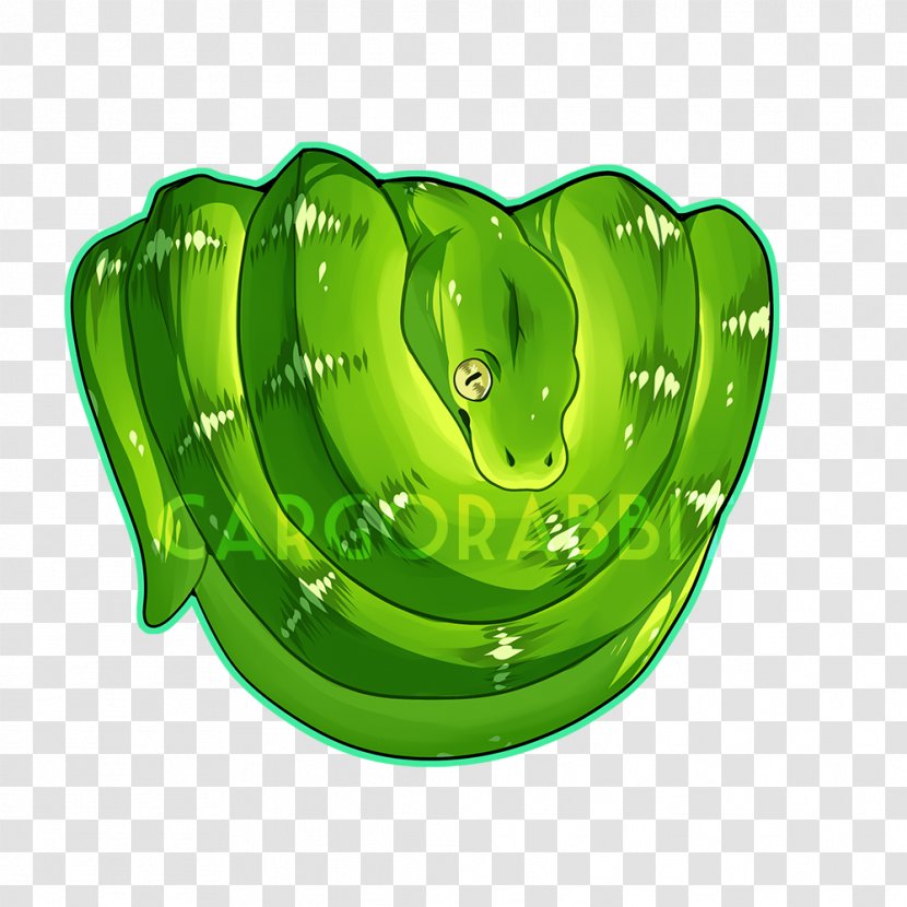 Snakes Reptile Emerald Tree Boa Boas Corallus Hortulanus - Green Transparent PNG