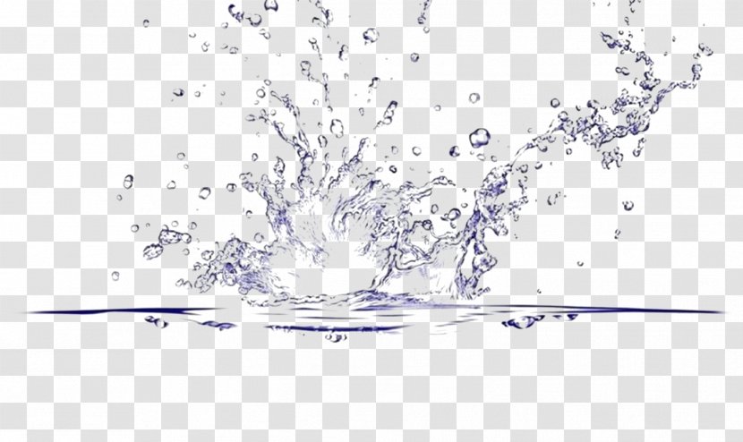 Water Splash Drop - Area Transparent PNG