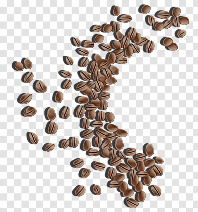 Watercolor Plant - Caffeine Java Coffee Transparent PNG
