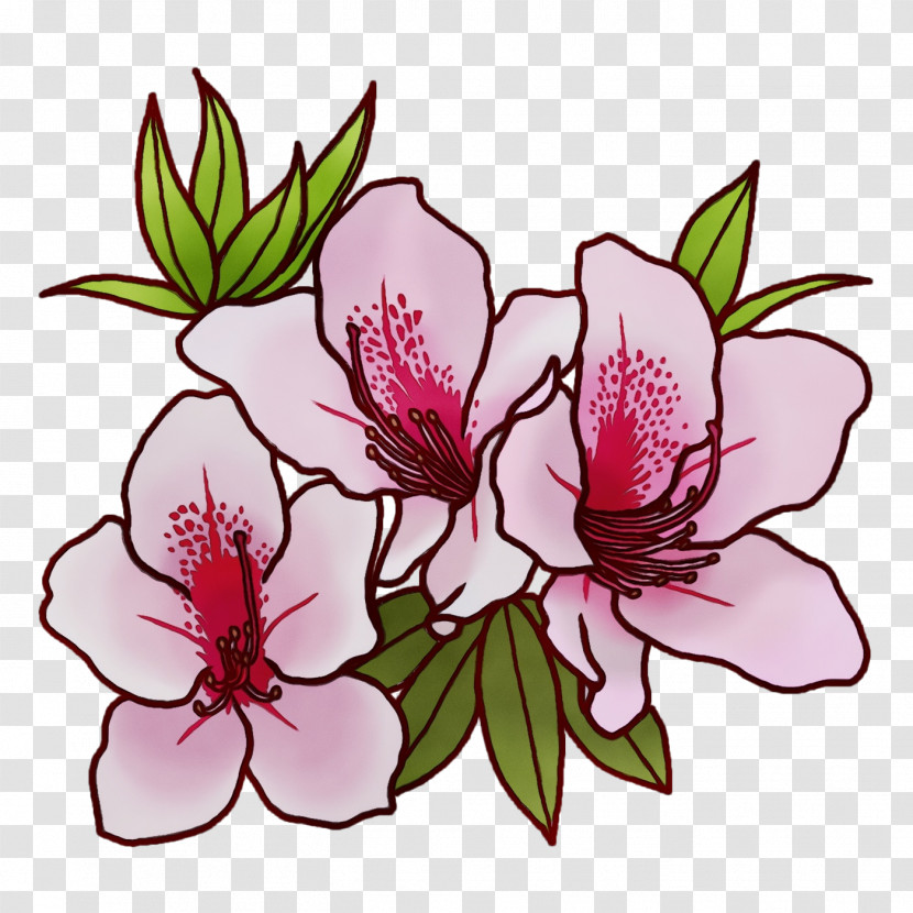 Floral Design Transparent PNG