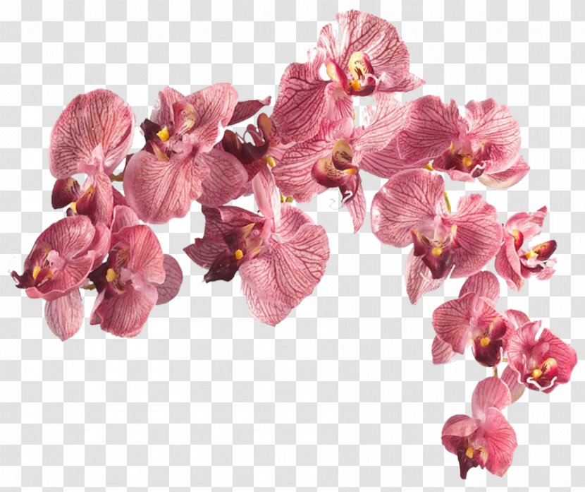 Dancing-lady Orchid Artificial Flower Silk Moth Orchids - Pink - Wedding Transparent PNG