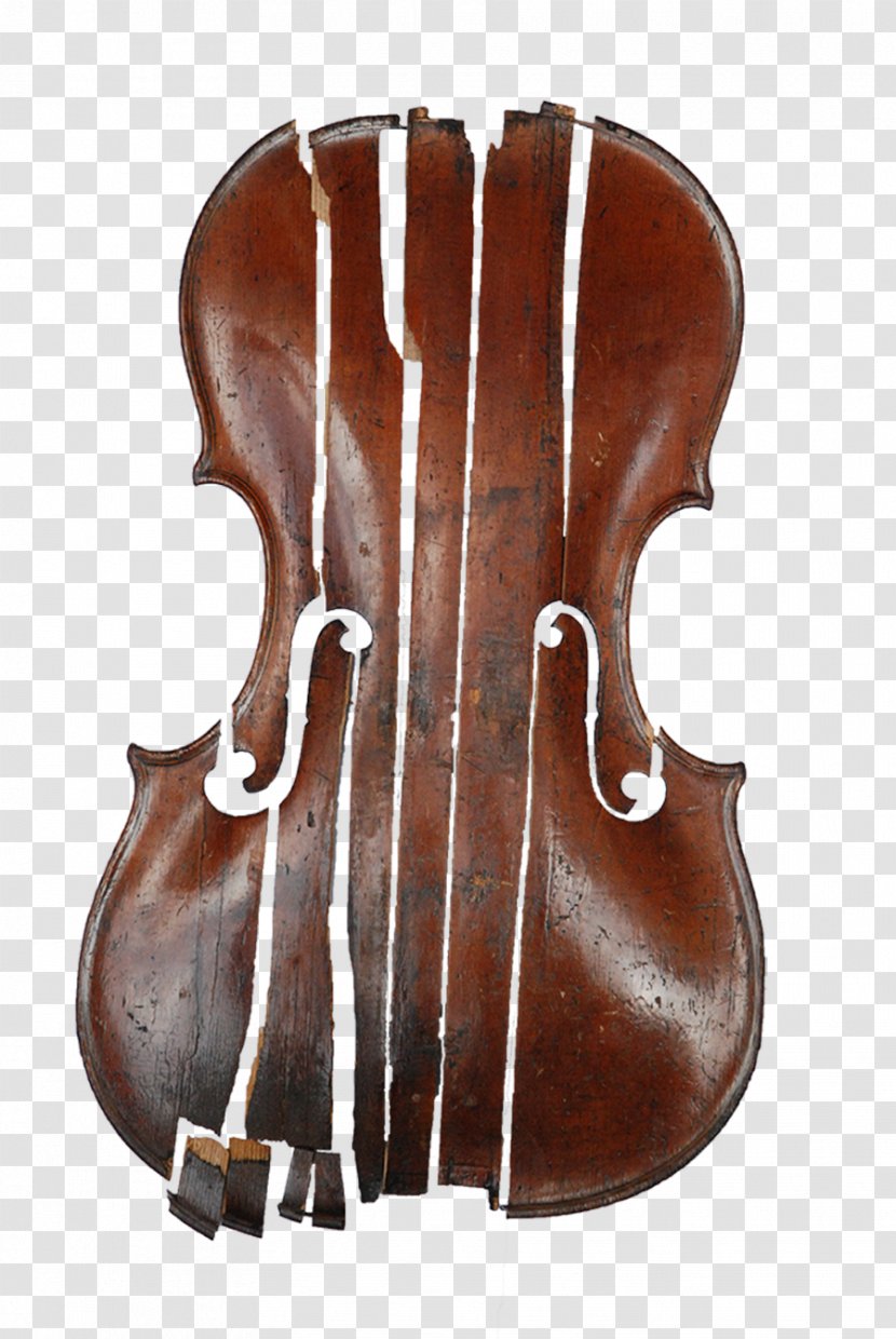 Bass Violin Violone Viola Double - Tololoche Transparent PNG