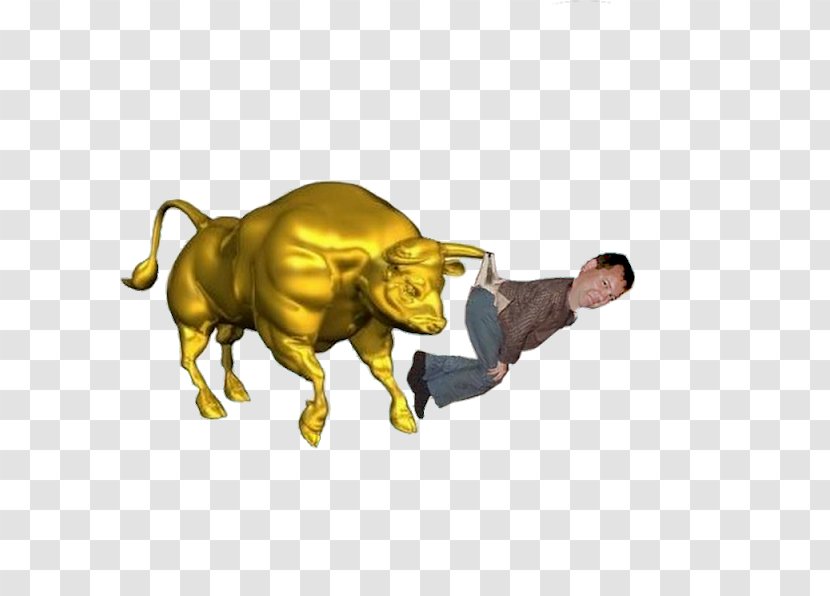 Bull Stock Photography Drawing Transparent PNG