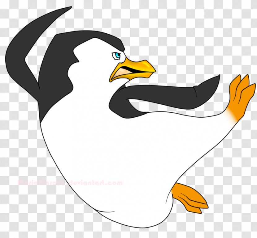 Duck Comics Drawing Cartoon Bird - Vertebrate Transparent PNG