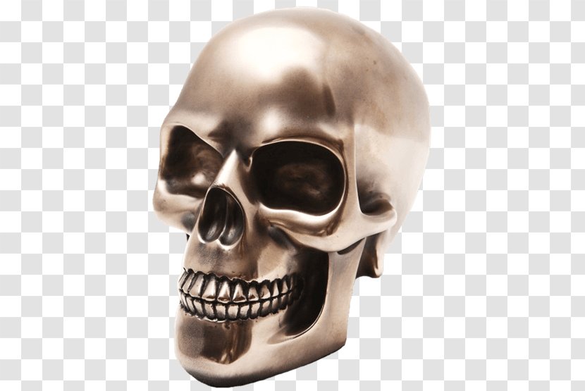 Skull Human Skeleton Head Orbit - Silver - Viking Transparent PNG