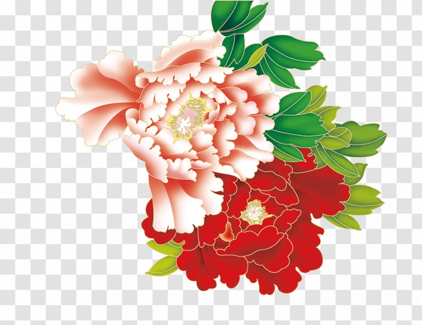 Moutan Peony Icon - Rose Family Transparent PNG