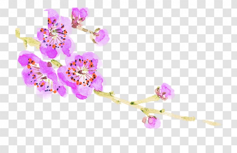 Plum Blossom Flower - Violet - Painted Transparent PNG