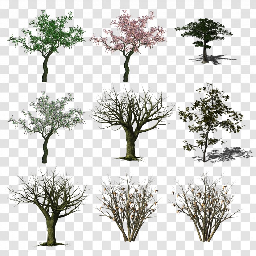 Branch Tree Clip Art Image Transparent PNG