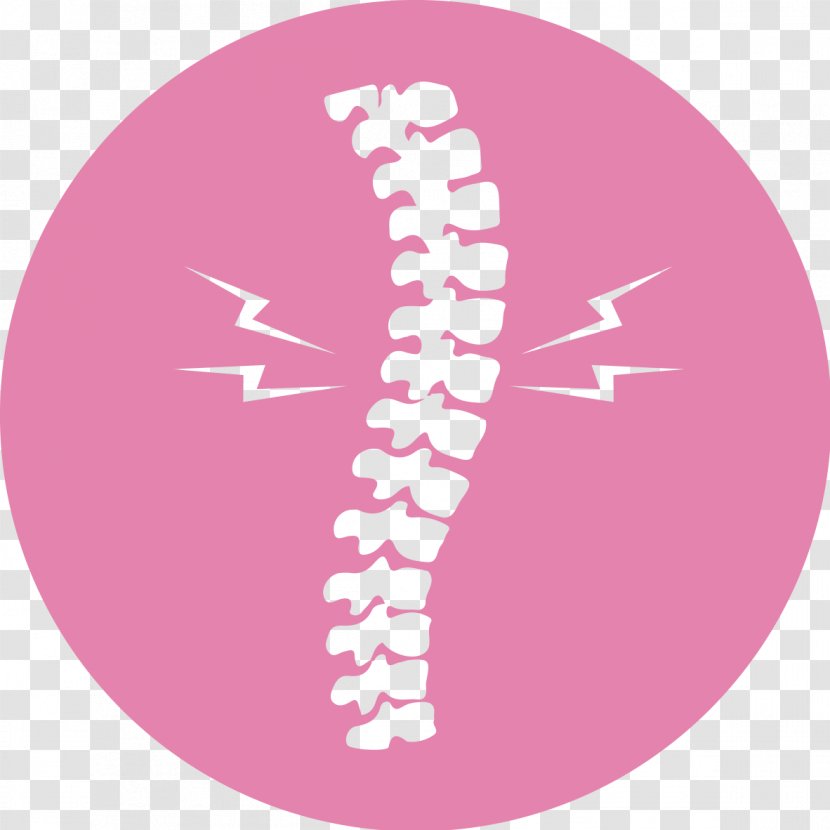 Massage Vertebral Column Health Back Pain Human - Jaw - Physical Therapy Of Tcm Transparent PNG