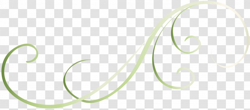 Desktop Wallpaper Green - Closeup - Floralelement Transparent PNG