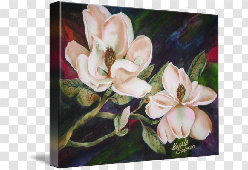 Cut Flowers Floral Design Painting Floristry - Seed Plant - Magnolia Transparent PNG