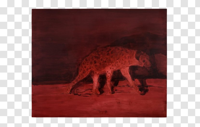 Wildlife Fauna Carnivora - Canvas Transparent PNG