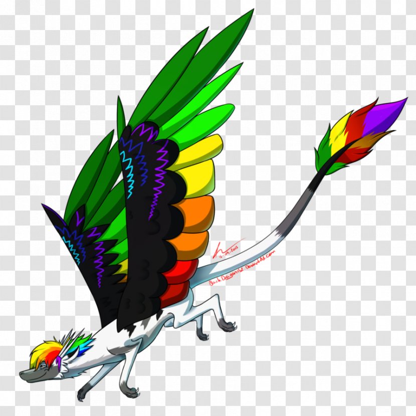 Macaw Parakeet Feather Pet Beak - Double Rainbow Dragon Transparent PNG