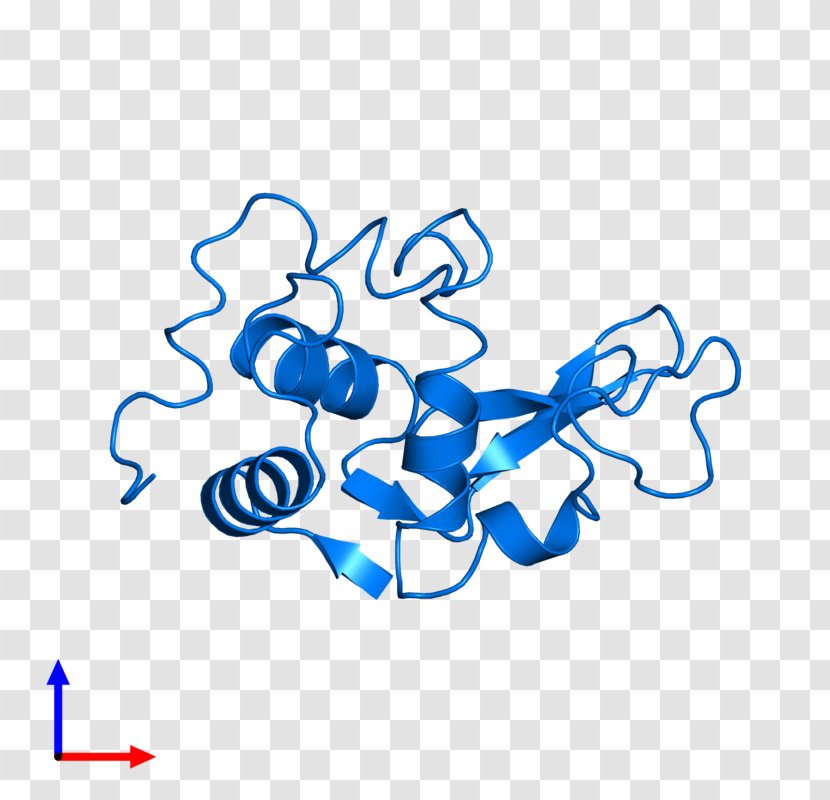 Enzyme Lysozyme Protein Tertiary Structure Bromelain Active Site - Flower - Cartoon Transparent PNG