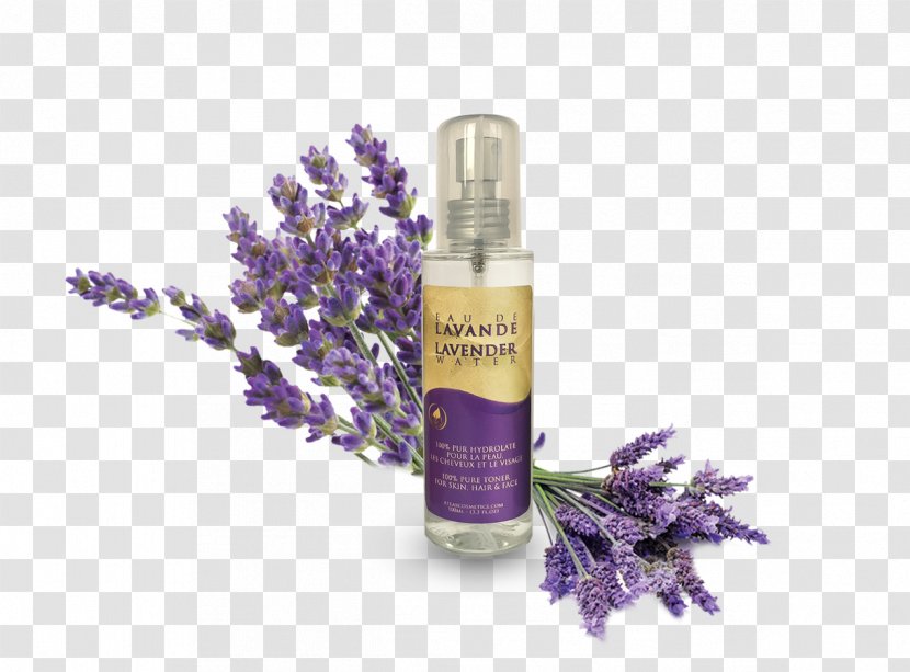 Herbal Distillate Lavender Essential Oil Perfume Henna Transparent PNG