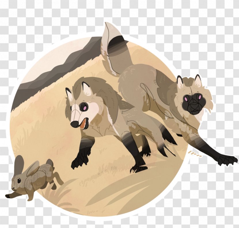 Raccoon Cat Dog Canidae - Pet Transparent PNG