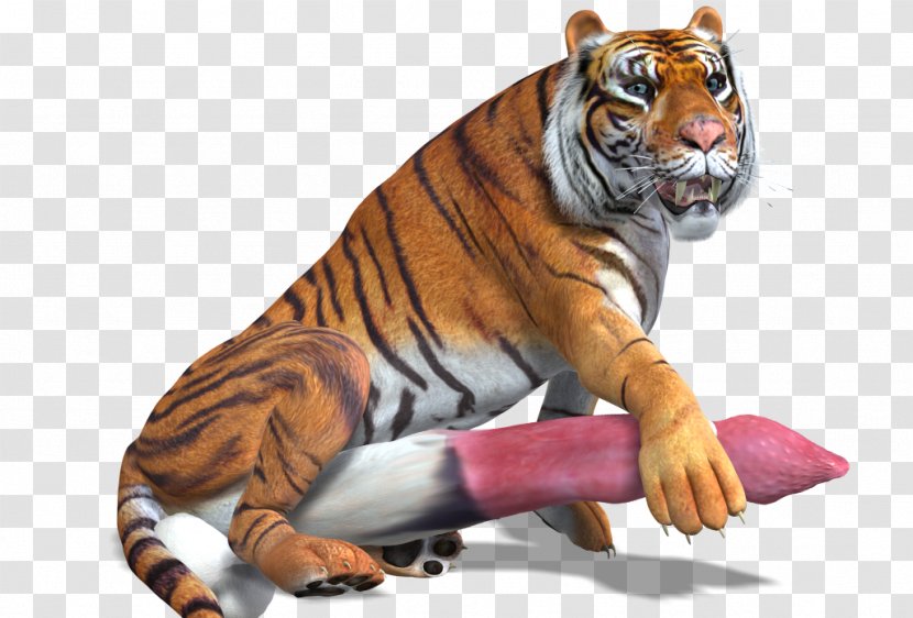 Tiger Big Cat Wildlife - 3d Transparent PNG