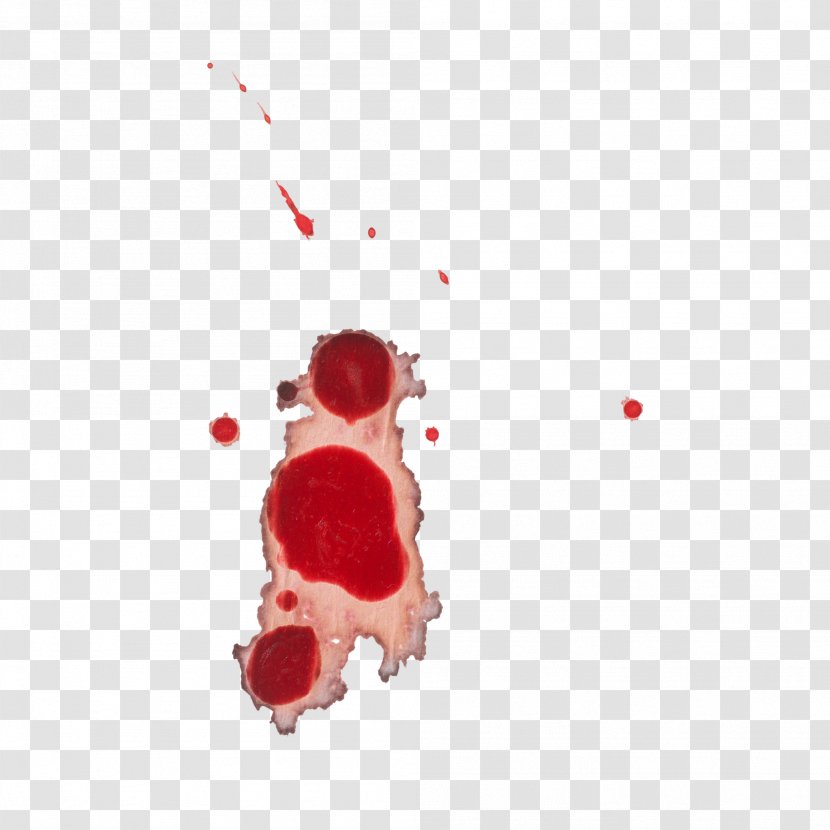Blood Download 19 September - Red - Particles Transparent PNG