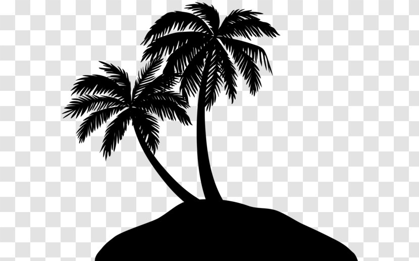 Vector Graphics Illustration Clip Art Image - Attalea Speciosa - Palm Trees Transparent PNG