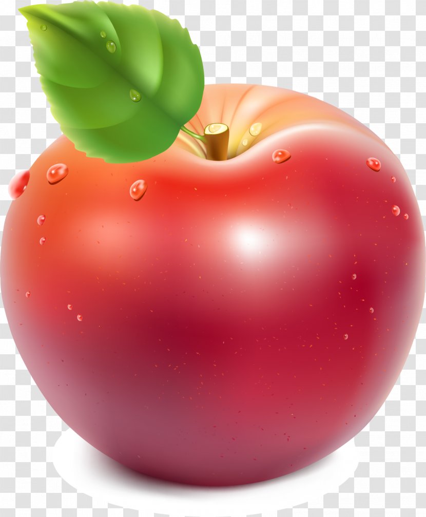 Apple Royalty-free Clip Art - Photography - Red Cartoon Transparent PNG