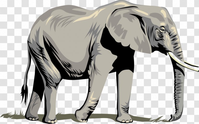 African Elephant Clip Art - Photography - Free Pictures Transparent PNG