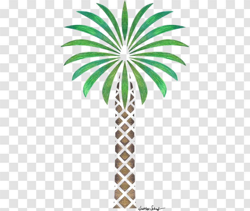 Arecaceae Date Palm Tree Drawing Woody Plant Transparent PNG