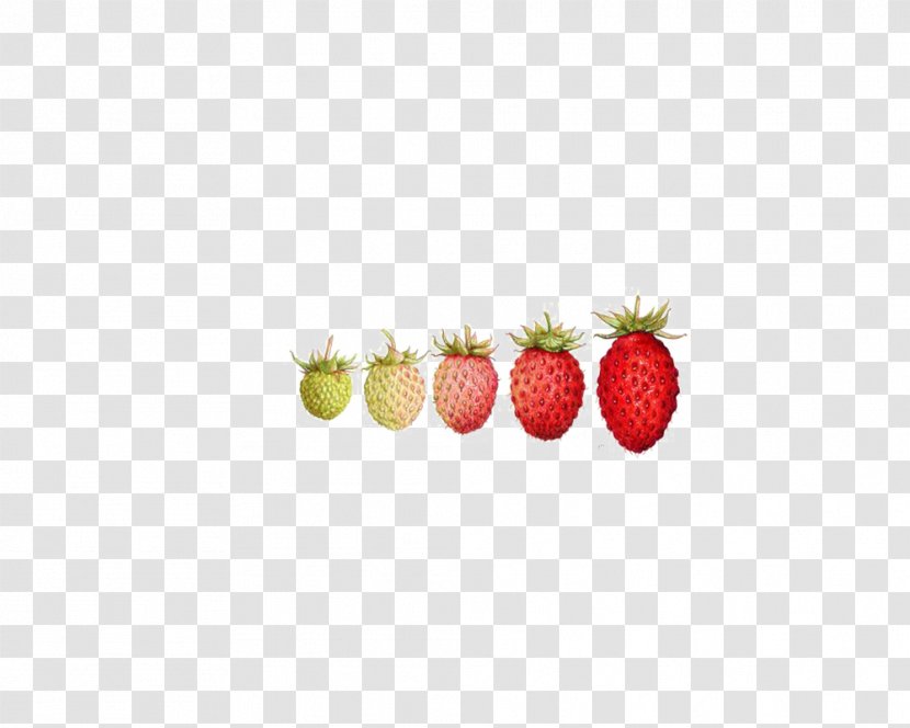 Strawberry Pattern - Fruit - Growing Path Transparent PNG