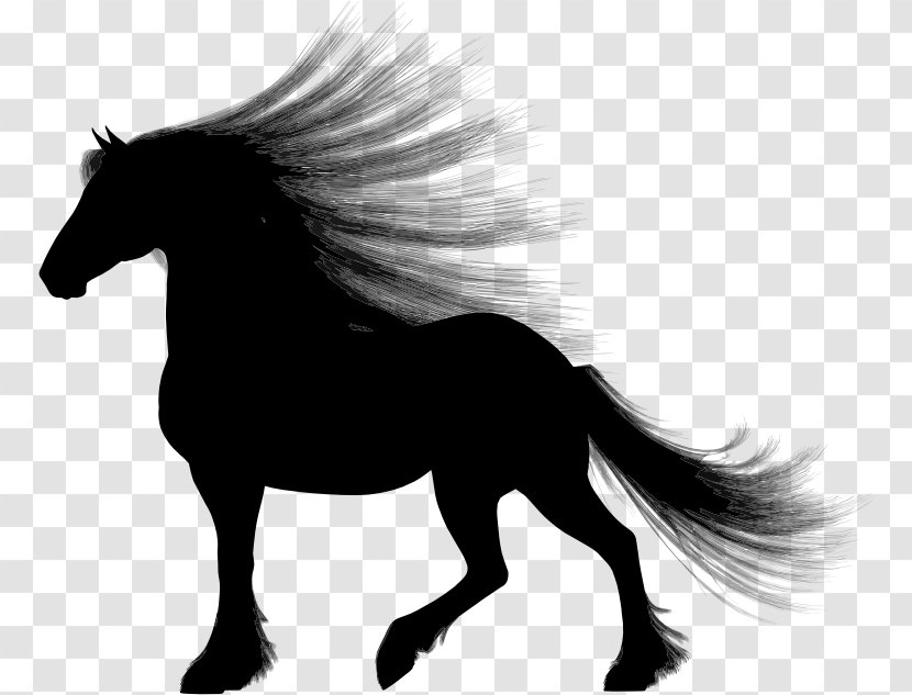 Pony Gypsy Horse Clydesdale Stallion Shire - Mustang Transparent PNG