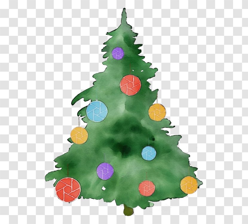 Watercolor Christmas Tree - Evergreen - Plant Spruce Transparent PNG