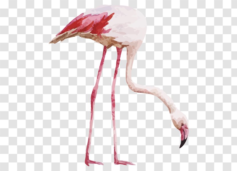 Flamingo Drawing Watercolor Painting - Ciconiiformes Transparent PNG