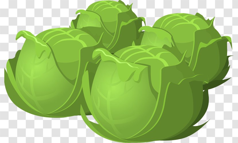 Cabbage Vegetable Lettuce Clip Art - Salad - Cartoon Food Transparent PNG