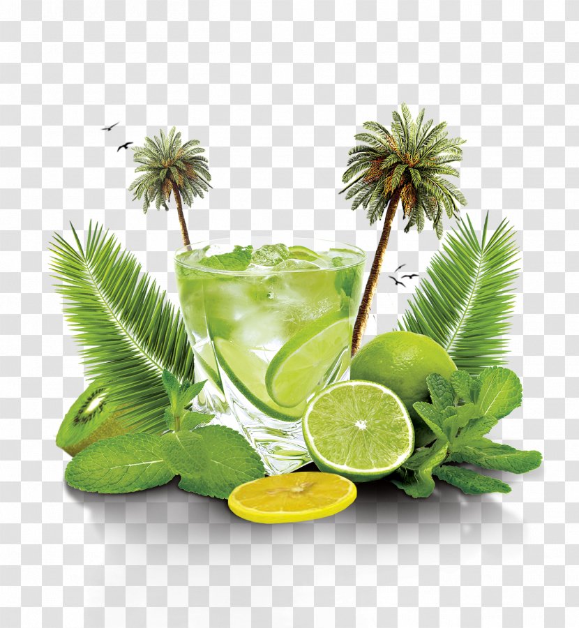 Mojito Cocktail Download Flyer - Lime - Summer Jieshu A Glass Of Lemonade Transparent PNG