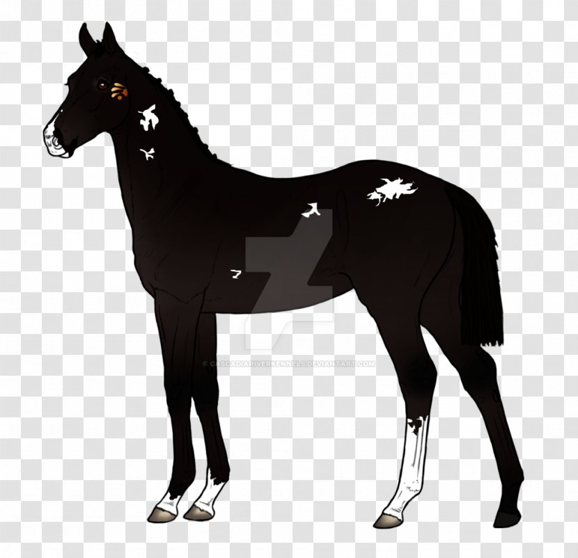 Mustang Anglo-Arabian Foal Stallion Colt - Bridle - Parsley Transparent PNG