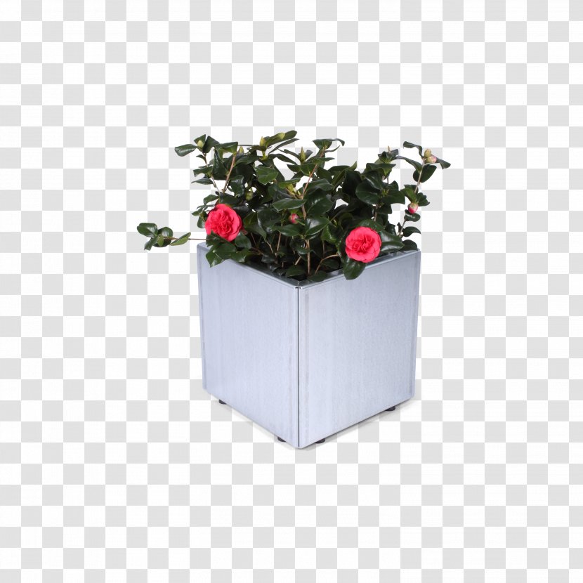 Flowerpot .de Houseplant Wood Plastic - Com - Mark 84 Bomb Transparent PNG