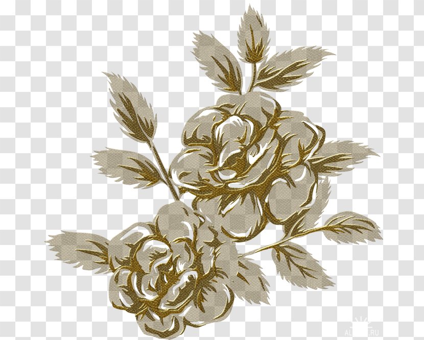 Drawing - Designer - Gold Flowers Transparent PNG