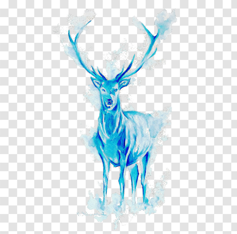 Deer Wildlife Antelope Drawing Elk Transparent PNG