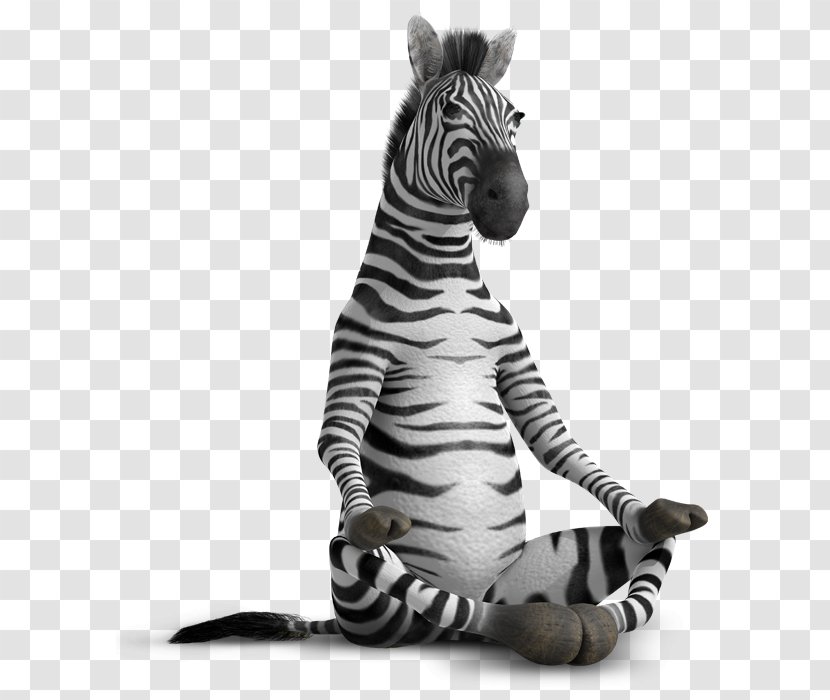 Why Zebras Don't Get Ulcers Ballpoint Pen Gel - Ink - Zebra Transparent PNG