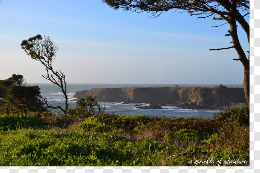 Mendocino Cliff House Adventure Trail Nature Reserve - Land Lot - Tomato Bisque Appetizer Transparent PNG