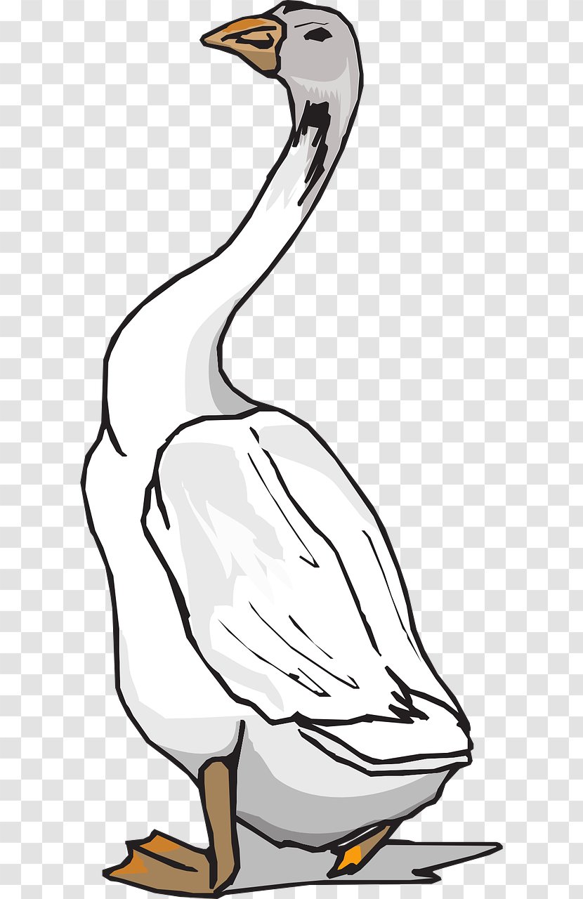 Goose Grey Geese Duck Bird Clip Art - Water Transparent PNG