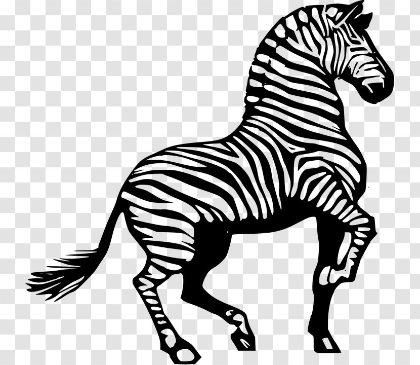 Download Drawing Black Clip Art - Terrestrial Animal - Stripes Transparent PNG