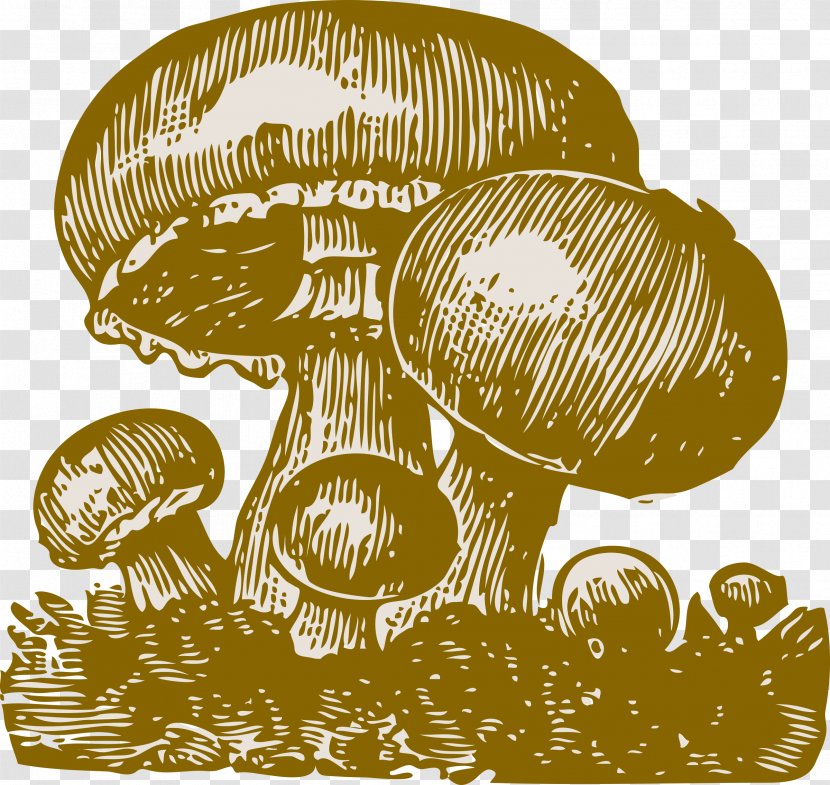Common Mushroom Fungus Clip Art - Amanita Muscaria - Fungi Transparent PNG