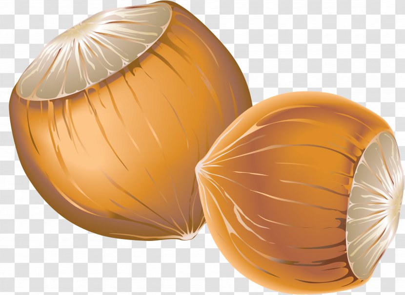 Hazelnut Acorn Nucule Clip Art - Peanut - Artichokes Transparent PNG