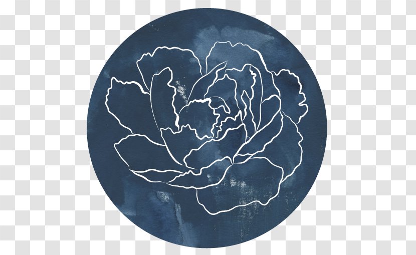 Love Rose Flower - Petal - Cloud Transparent PNG