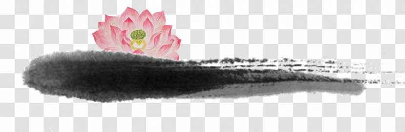 Pond Designer Nelumbo Nucifera - Lotus Transparent PNG