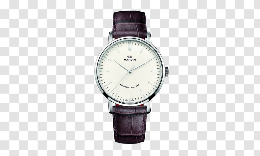 Automatic Watch Clock Omega Seamaster Chronograph - Accessory - Mount Grain Belt Mechanical Male Switzerland Transparent PNG