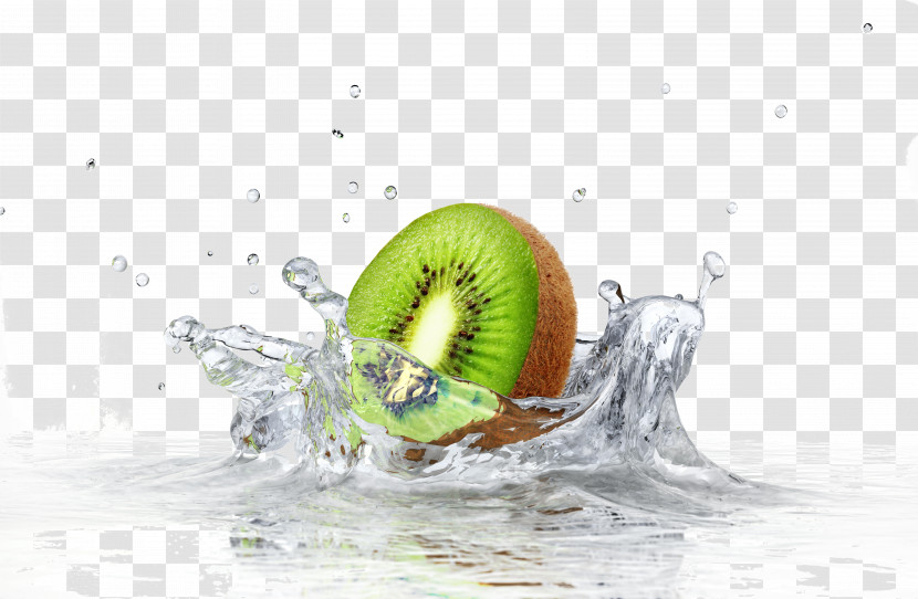 Water Kiwifruit Fruit Plant Liquid Transparent PNG