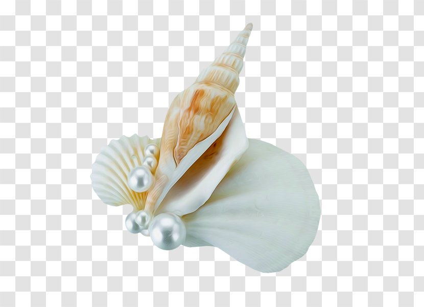 Wedding Cake Seashell Boutonnixe8re Flower Bouquet - Sea Snail - Conch And Pearls Transparent PNG