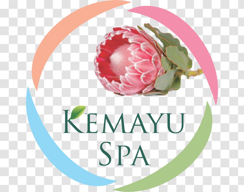 Kemayu Spa Day Beauty Parlour Hillcrest, KwaZulu-Natal - Logo - Health Transparent PNG